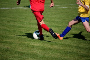 体育mk-中国田径队在世界舞台上表现优异，奖牌不断，中国田径队排名